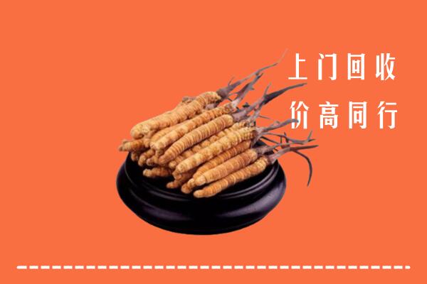 高价求购：温州回收散虫草