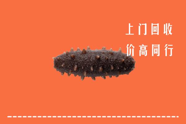 高价求购：温州回收海参