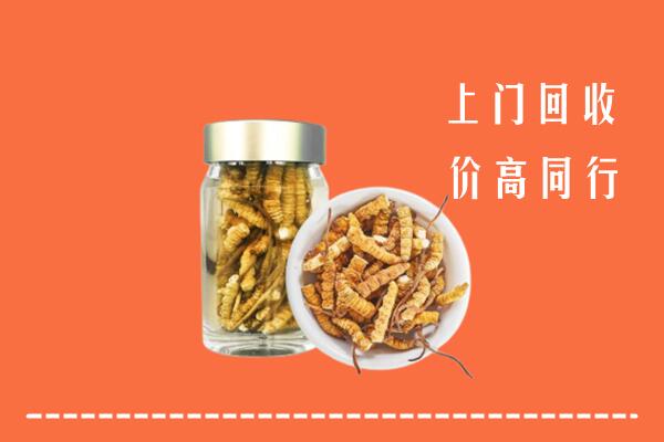 温州回收冬虫夏草