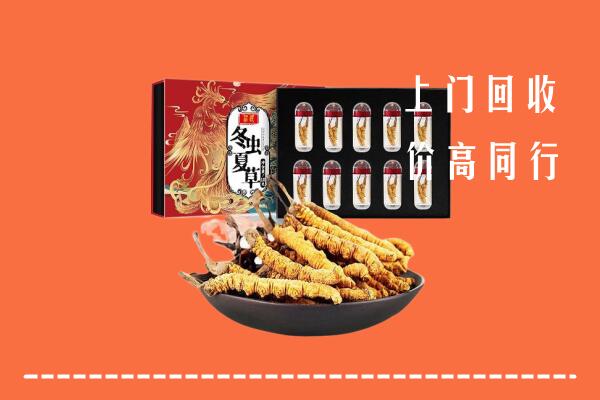 温州回收虫草